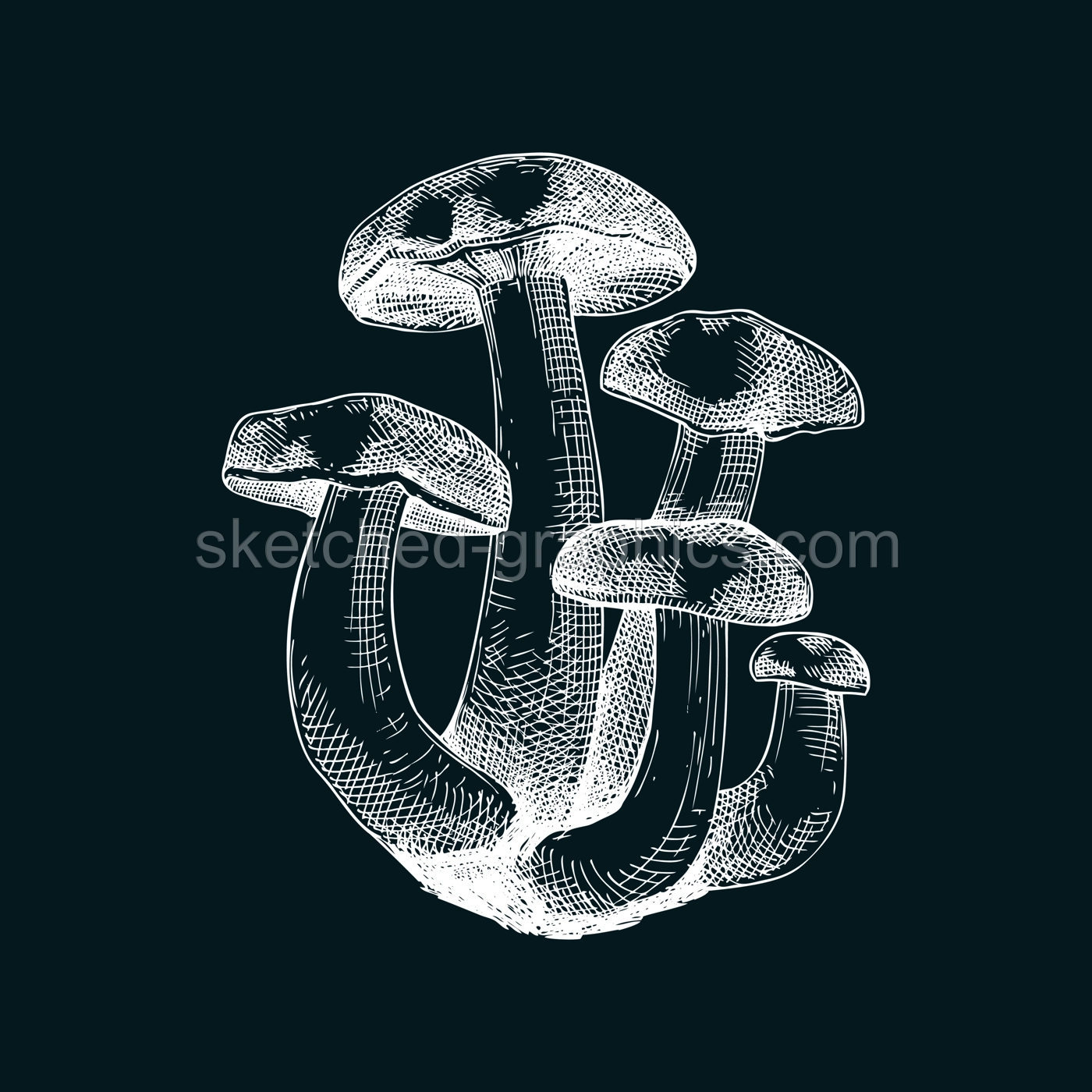 Fried chicken mushroom sketch. Edible fungus illustration on chalkboard. Fungal protein, mycoprotein, plant-based product ingredients, healthy food design element. Forest plant drawing Illustration